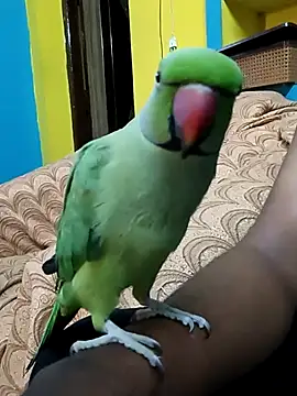 Lawrencedlkk007 online show from March 9, 7:34 am