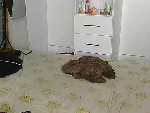 Snapshot of SexyLi_ chatting on July 30, 2:21 am SexyLi online show from July 30, 2:21 am