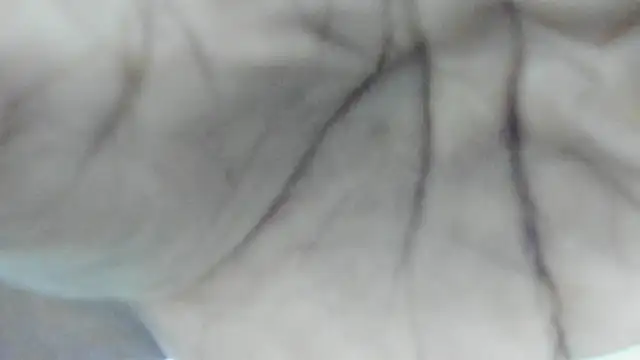 Snapshot of Philip_Cuellar chatting on July 23, 12:36 pm Philip Cuellar online show from July 23, 12:36 pm