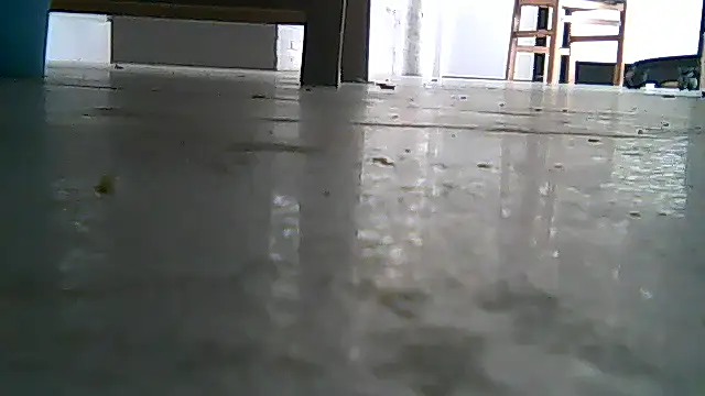 Snapshot of SirFrankonde chatting on August 1, 12:48 pm SirFrankonde online show from August 1, 12:48 pm
