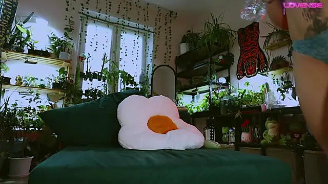 Dead Butterfly online show from May 12, 11:18 am
