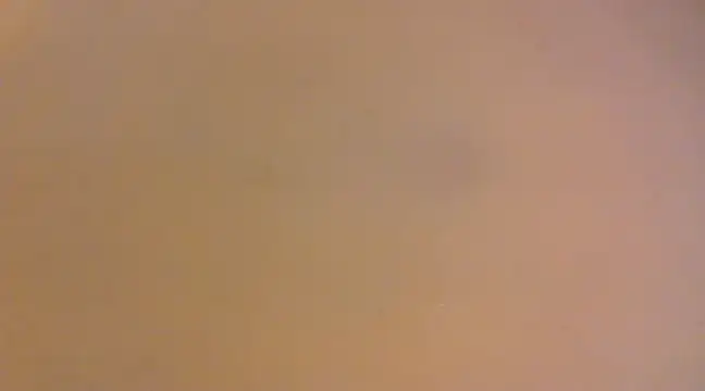 Snapshot of lilpervt chatting on December 21, 11:55 am lilpervt online show from December 21, 11:55 am