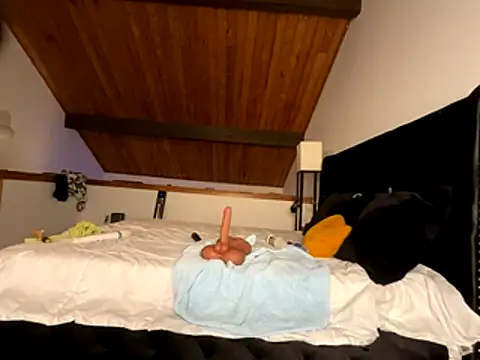 Snapshot of odbodu chatting on December 21, 11:45 pm odbodu online show from December 21, 11:45 pm