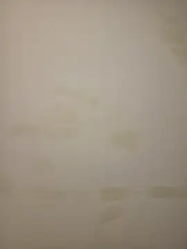 Adivaaa online show from February 12, 10:54 am