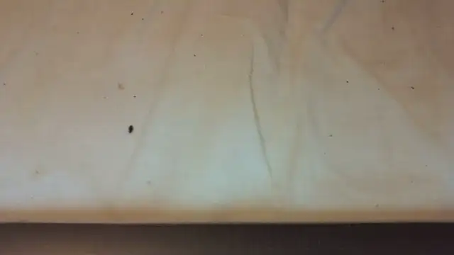 Snapshot of Helly97 chatting on October 23, 8:07 pm Helly97 online show from October 23, 8:07 pm