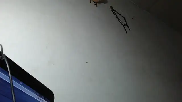 adrixxx38 online show from March 5, 12:17 am