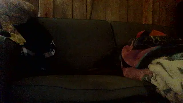 Snapshot of Ryoko_Momoko chatting on November 1, 2:46 am Ryoko Momoko online show from November 1, 2:46 am