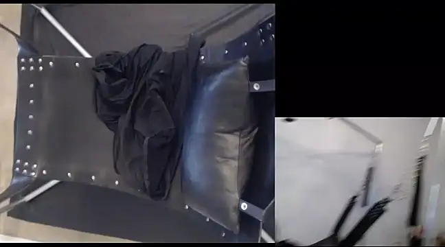 njdbear online show from December 22, 9:53 pm