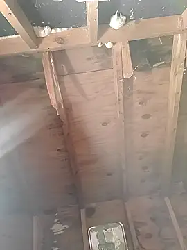 MaddyC6992 online show from December 26, 12:49 pm