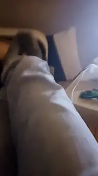 InMeinenMund online show from January 13, 2:39 am