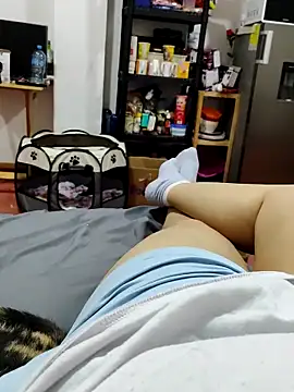 San-Dan10 online show from February 28, 4:54 am