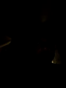 tropikboy online show from March 21, 12:48 am