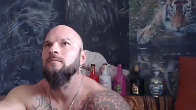 viking 30 online show from November 12, 11:10 am