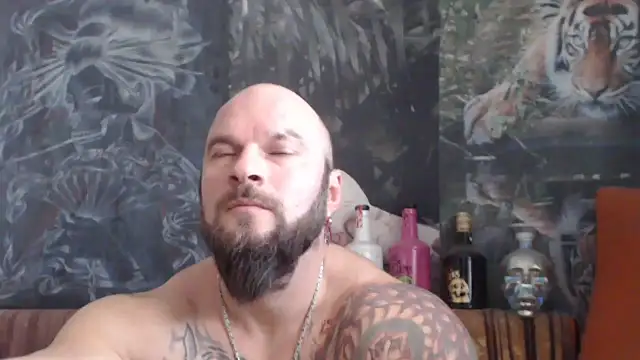 viking 30 online show from November 26, 7:42 am