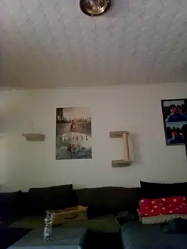 Codymc89 online show from June 30, 2:18 pm
