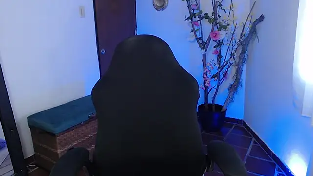 Snapshot of ms_sofia_x chatting on November 3, 5:03 pm ms sofia x online show from November 3, 5:03 pm