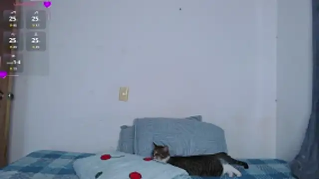 valen thompson online show from March 1, 11:07 pm