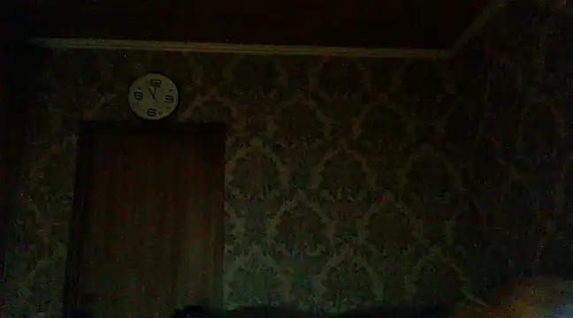 Snapshot of WildMissNiks chatting on December 2, 9:02 am WildMissNiks online show from December 2, 9:02 am