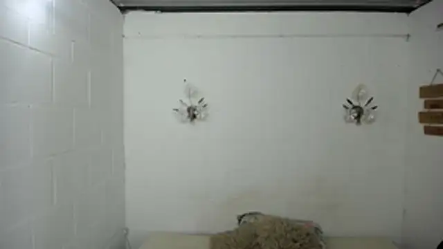 Snapshot of SexyKataShow chatting on July 5, 9:33 pm SexyKataShow online show from July 5, 9:33 pm