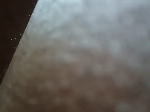 PrinceNoAlbert online show from December 6, 3:33 pm