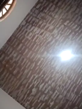 catdool online show from December 14, 12:21 pm