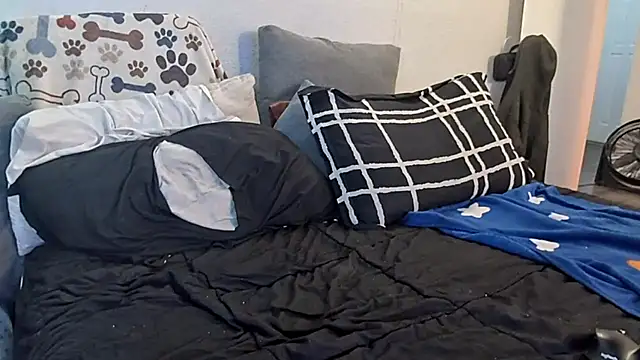 Snapshot of pyrowuff chatting on January 19, 3:10 am pyrowuff online show from January 19, 3:10 am