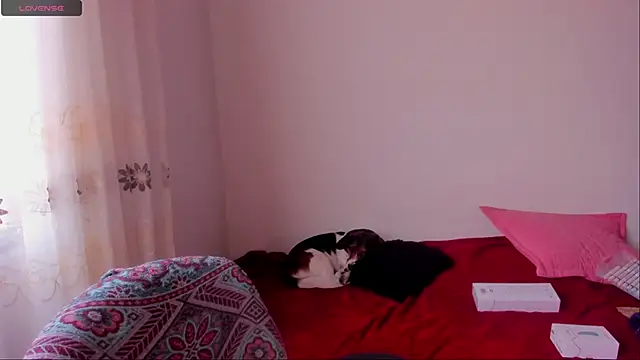 aluna 0310 online show from December 9, 6:46 pm