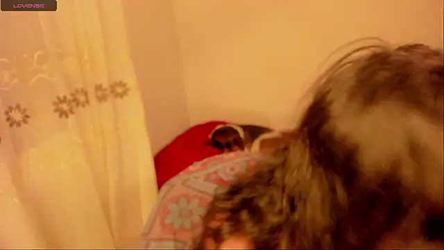 aluna 0310 online show from January 16, 11:59 pm