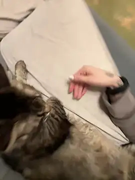 GraceCandy online show from February 17, 10:14 pm