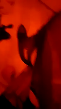 Misspadrona88 online show from March 4, 9:32 pm