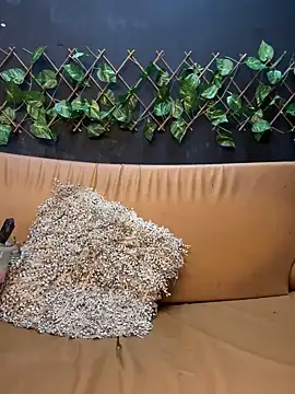 uma patna000 online show from January 12, 9:51 pm