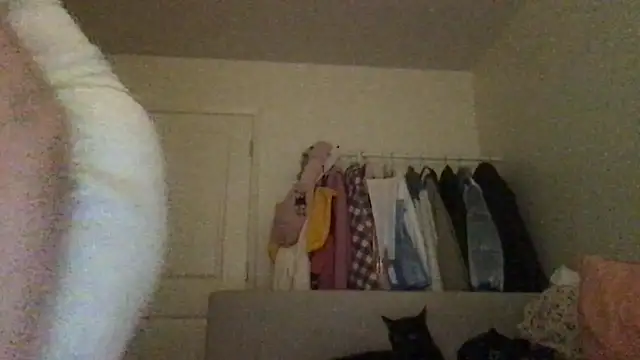 Snapshot of HYPHYtype chatting on September 23, 7:44 am HYPHYtype online show from September 23, 7:44 am