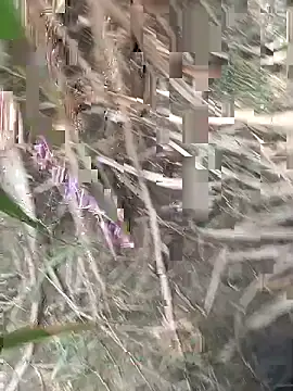 FinableKnee online show from September 18, 4:47 am