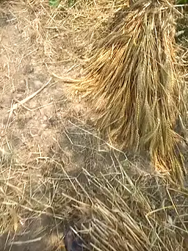 FinableKnee online show from April 8, 5:29 am