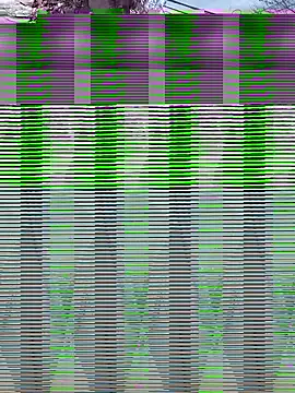 Alicbranca online show from September 17, 4:41 pm