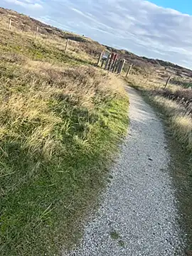 Mark3706 online show from December 3, 11:55 am