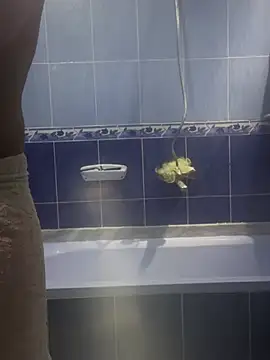 Snapshot of Arabien_Pharaoh- chatting on March 20, 5:58 pm Arabien Pharaoh- online show from March 20, 5:58 pm