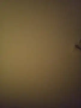 Snapshot of SMOKERBEASTBR chatting on February 8, 6:17 am SMOKERBEASTBR online show from February 8, 6:17 am