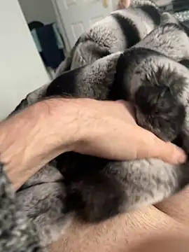 Furdale online show from December 2, 12:40 pm