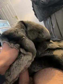 Furdale online show from January 3, 1:58 pm