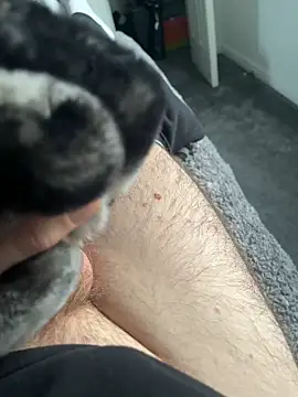 Snapshot of Furdale chatting on January 16, 2:08 pm Furdale online show from January 16, 2:08 pm