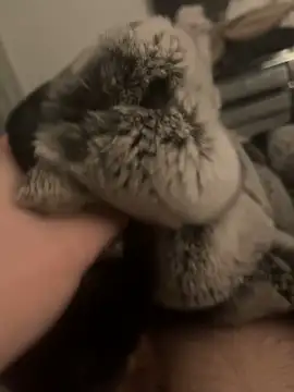 Snapshot of Furdale chatting on January 24, 6:04 pm Furdale online show from January 24, 6:04 pm