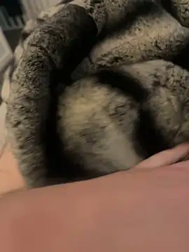 Snapshot of Furdale chatting on February 17, 3:09 pm Furdale online show from February 17, 3:09 pm