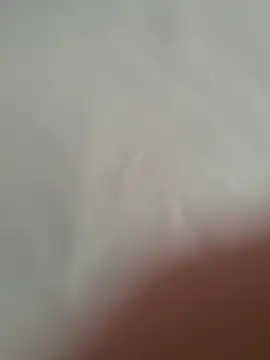 Furdale online show from October 21, 10:49 am