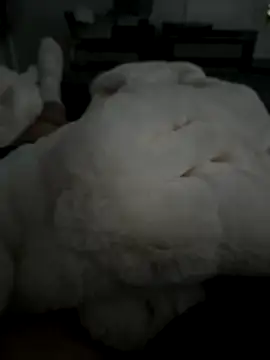 Snapshot of Furdale chatting on November 5, 2:50 pm Furdale online show from November 5, 2:50 pm