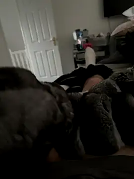 Snapshot of Furdale chatting on November 7, 2:28 pm Furdale online show from November 7, 2:28 pm