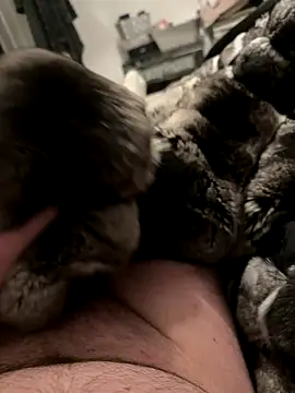 Furdale online show from December 4, 7:00 pm