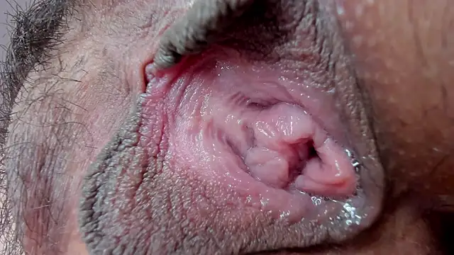 ms pickless online show from January 27, 3:18 pm