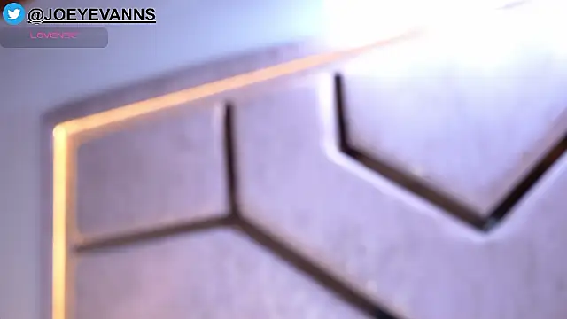 JOEYEVANS online show from February 1, 12:53 am