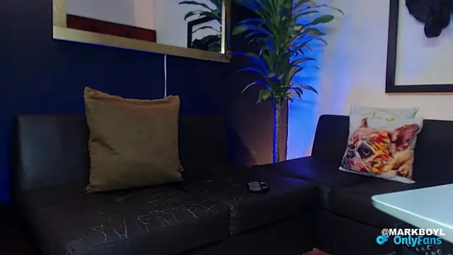 Snapshot of Markboyl chatting on December 11, 2:09 am Markboyl online show from December 11, 2:09 am